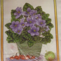 Pannello in cotone per ricamo silk (a5):  saintpaulia