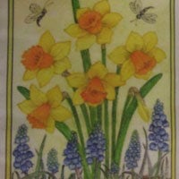 Pannello in cotone per ricamo silk (a5): narcisi