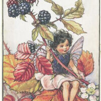 Pannello in cotone per ricamo silk (a4):  la fatina delle more