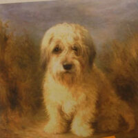 Pannello in cotone per ricamo silk (a4):  cagnolino