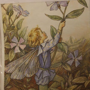 Romantica nesti dante: sapone vegetale gr 250