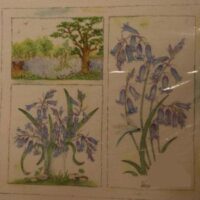 Pannello per ricamo silk (a4):  campanelle azzurre