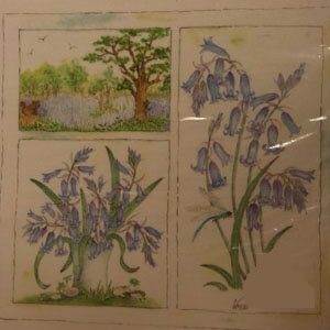 Pannello in cotone per ricamo silk (a5):  saintpaulia