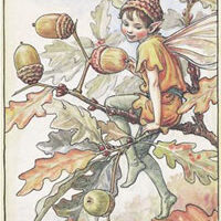 Pannello in cotone per ricamo silk (a4):  la fatina della quercia