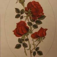Pannello in cotone per ricamo silk (a4):  rose