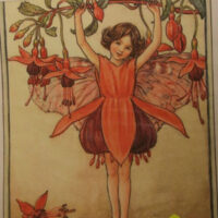 Pannello in cotone per ricamo silk (a4):  fatina fuxsia