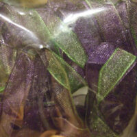 Nastrini organza 25 mm, ricamo silk ribbon