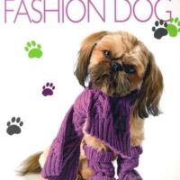 Fashion dog