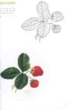 Il mio punto pittura: ricamo botanico, anna vigo - immagine 2