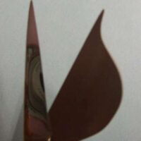 Forbice per applique' doppia punta cm 15, havel's