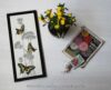 Schema blackwork: swallowtail butterlies aijsai designs