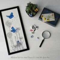 Adonis blue butterlies, aijsai designs