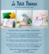 Le petit prince, veronique enginger - immagine 2