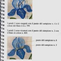 I manuali della prilletta: i punti sospesi 1°, anna rondelli