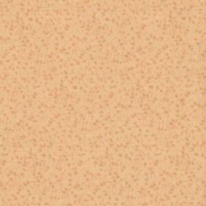 kansas trouble favorites II for moda, foglioline nocciola ultimo pezzo cm 71x110
