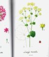Embroidered garden flowers, kazuko aoki - immagine 2
