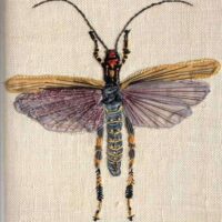 Just stitch, lesley turpin