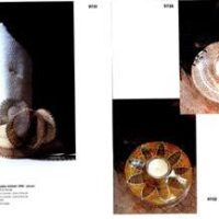Jolly/moravia 1998 + 2007
