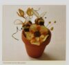 Stumpwork embroidery, helen richman - immagine 2