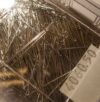 Spilli lunghi 0,60 x 40 - immagine 2