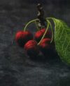 Inspirations: botanica, the three-dimensional embroidery, julie kniedl - immagine 2