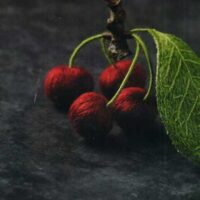 Inspirations: botanica, the three-dimensional embroidery, julie kniedl
