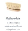 Spazzola aladina asciutta, spazzolatura asciutta del corpo - immagine 2
