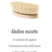 Spazzola aladina asciutta, spazzolatura asciutta del corpo