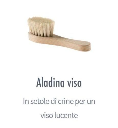 Spazzola aladina viso, mani e collo spazzolatura a secco
