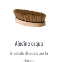 Spazzola aladina acqua, spazzolatura sotto la doccia