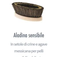 Spazzola aladina sensibile, spazzolatura delicata a secco