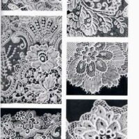 Point de gaze: brussels needle lace, elizabeth kurella