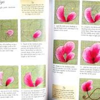 Beginner's guide to silk shading, clare hanham