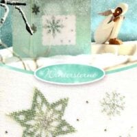 Wintersterne, ub design