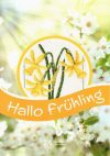 Hallo fruhling, ub design