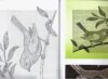 Tiere in tull, ulrike voelcker - immagine 2