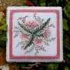 Jolly/01 achillea+19 sambuco+24 gelso, parolin - immagine 3