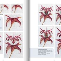 The kew book of embroidered flowers con decalcabili, trish burr