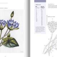 The kew book of embroidered flowers con decalcabili, trish burr