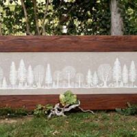 La foresta di fanes, Parolin