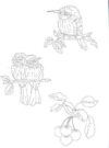 Trish burr's embroidery transfers: over 70 iron-on designs - immagine 3