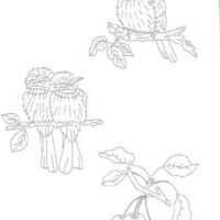 Trish burr's embroidery transfers: over 70 iron-on designs