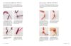 Bargello, laura angell- lynsey angell - immagine 4