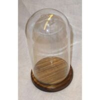 Campana in vetro alta cm 19,5 con base in legno diametro cm 9,8