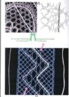 Twilling, ulrike voelcker - immagine 2