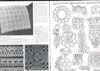 Frivolite' 2 - immagine 2