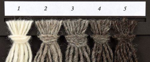 Pura lana italiana: calda, ecologica, resistente, silke gr 100/150mt ferri 5/6 - immagine 3