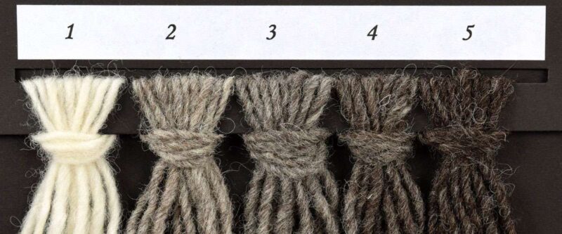 Pura lana italiana: calda, ecologica, resistente, silke gr 100/150mt ferri 5/6