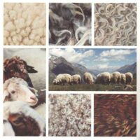 Pura lana italiana: calda, ecologica, resistente, silke gr 100/150mt ferri 5/6