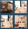 Cats and dogs, rico 134 - immagine 2